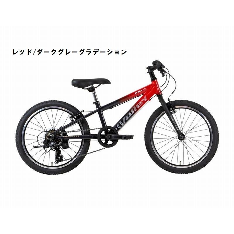 店舗受取送料割引)ネスト(NESTO) X-VALLEY KID20（クロスバレーキッド