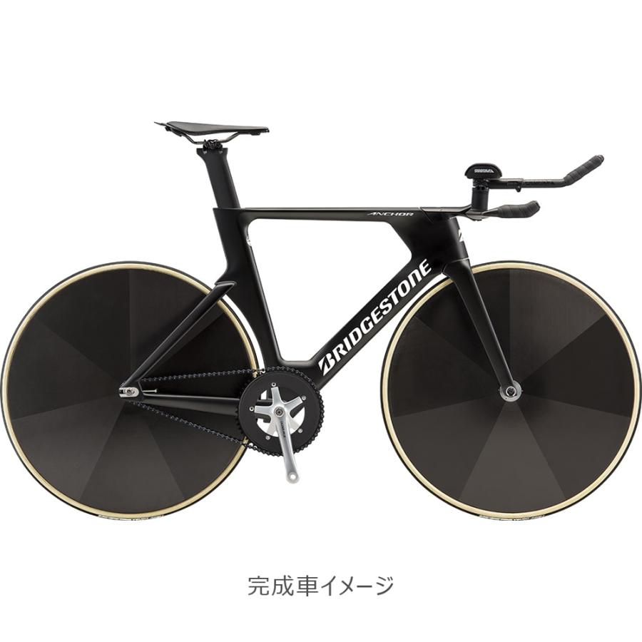 送料無料対象外)ブリヂストン アンカー（BRIDGESTONE ANCHOR） 26'TE9