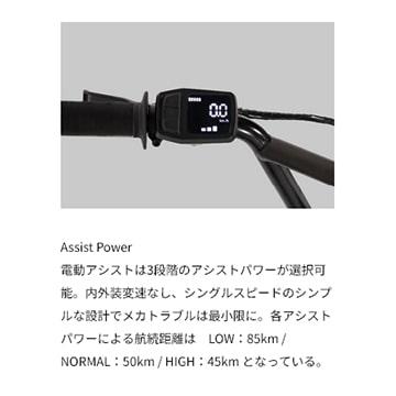 (特セール)(店舗受取送料割引)FUJI（フジ） 25’MX-E 電動アシストBMX20” E-BIKEの画像