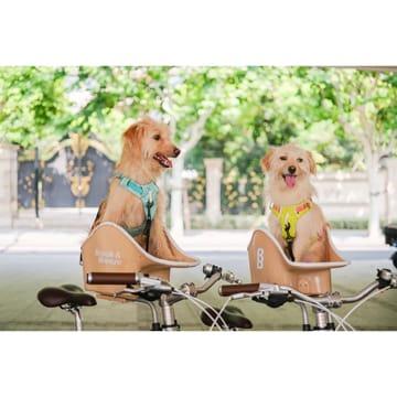 特セール)Brook＆Breeze(ブルックアンドブリーズ) Canine Copilot