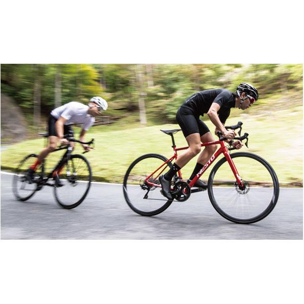 SALE」「ネスト」「ネット通販限定セール」オルタナ ディスク-A「NE-19