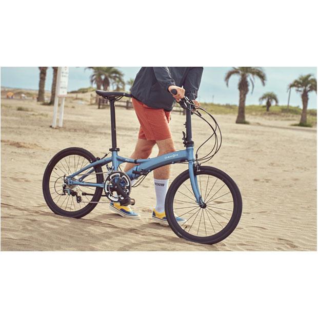 DAHON（ダホン） 「ダホン」Visc EVO（ヴィスク エヴォ）20インチ 20段