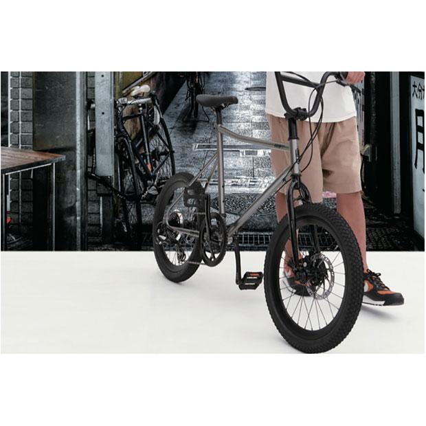 tern 「ターン」AMP F1（アンプ F1）20インチ フレームサイズ：460mm