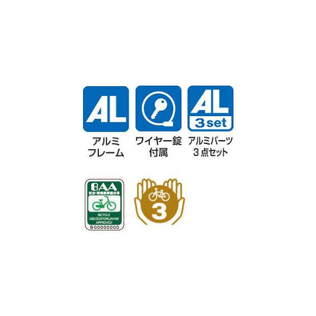 BRIDGESTONE（ブリヂストン） 「ブリヂストン」XB1「XBC542」フレーム