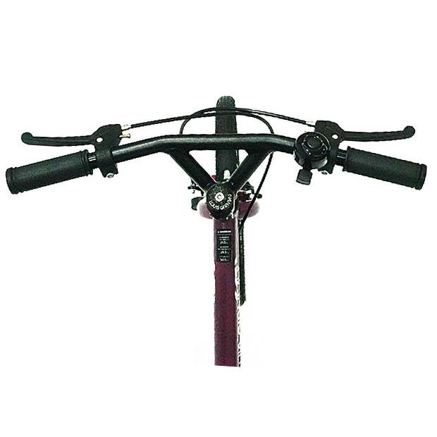 ルイガノ 「ルイガノ」K16 Lite BAA-O 16インチ 子供用 自転車