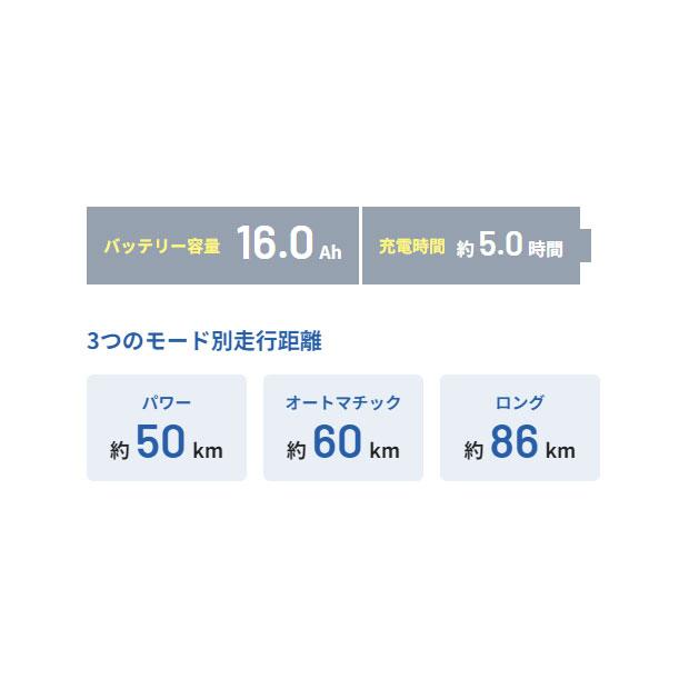 「パナソニック」ギュット・クルームR・DX「BE-FRD033」20インチ 3人乗り対応 電動自転車 -24｜cyclemall｜09