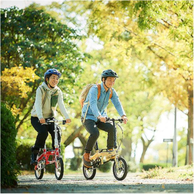 あさひ(自転車) 「東日本限定」「あさひ」LOG OUTRUNK(ログ あさひ(自転車) 「東日本限定」「あさひ」LOG OUTRUNK(ログ