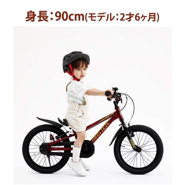 アイデス 幼児用自転車 16型 D-Bike Master＋ 16型 幼児用自転車 D-BIKE MASTER 16V バスケット付き(ネイビー