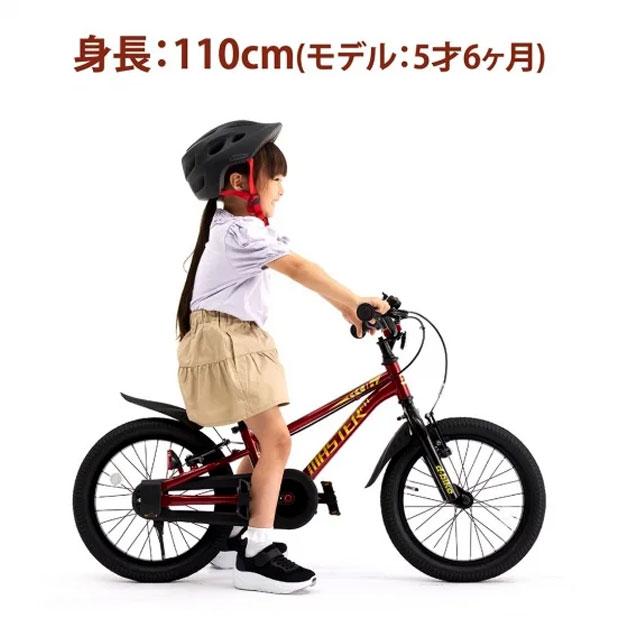ides 「アイデス」D-Bike MASTER FIT（Dバイク マスター