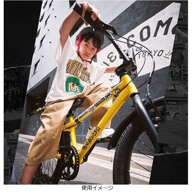 D-Bike エクストリート 20インチモデル ides 「アイデス」D-Bike BM XSTREET（Dバイク ビーエムエク