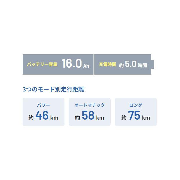 「パナソニック」ティモ・DX「BE-FTD753」27インチ 5段変速 電動自転車 -25 | Panasonic | 14