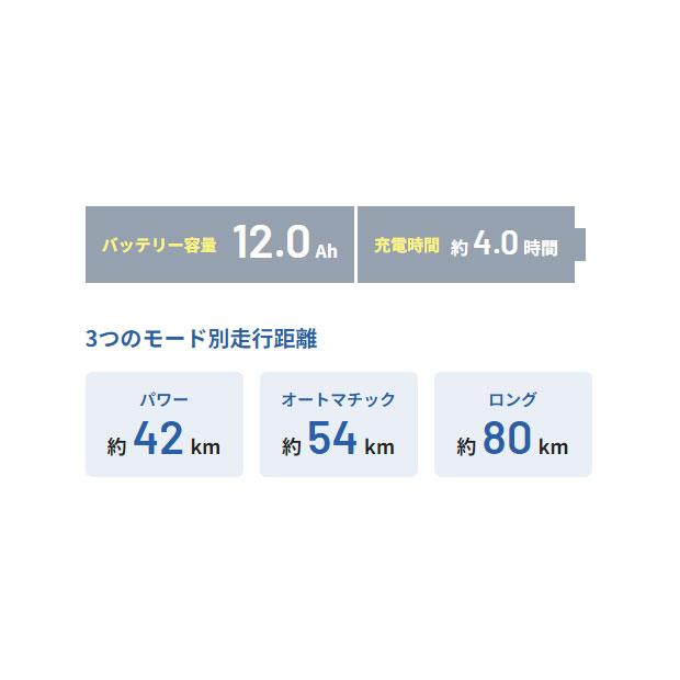 3/8はストアポイント2倍「パナソニック」ビビ・S・18「BE-FSS832」18インチ 電動自転車 -25 | Panasonic | 06