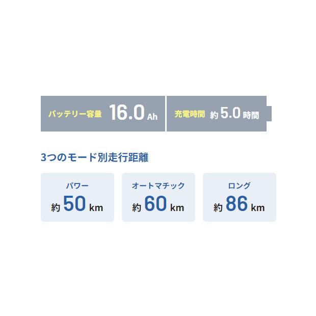 「パナソニック」ギュット・アニーズ・DX「BE -FAD032」20インチ 3段変速 3人乗り対応 電動自転車 -25 | Panasonic | 07