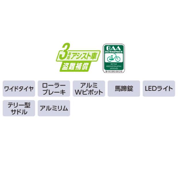丸石サイクル 「地域限定商品」「丸石」ビューピッコリーノ「ASWL20KDR