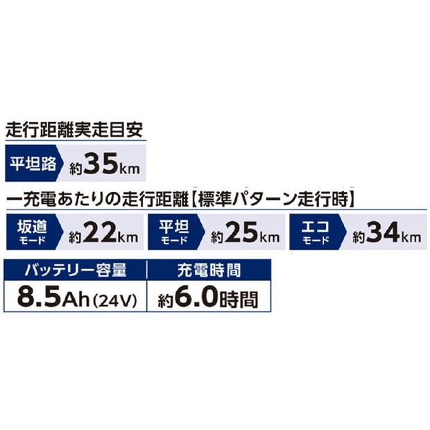 丸石サイクル 「地域限定商品」「丸石」ビューピッコリーノ「ASWL20KDR