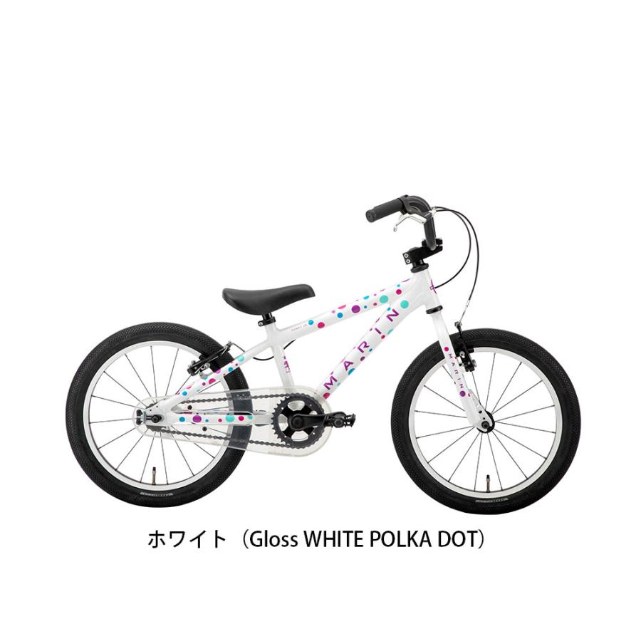 andi 自転車