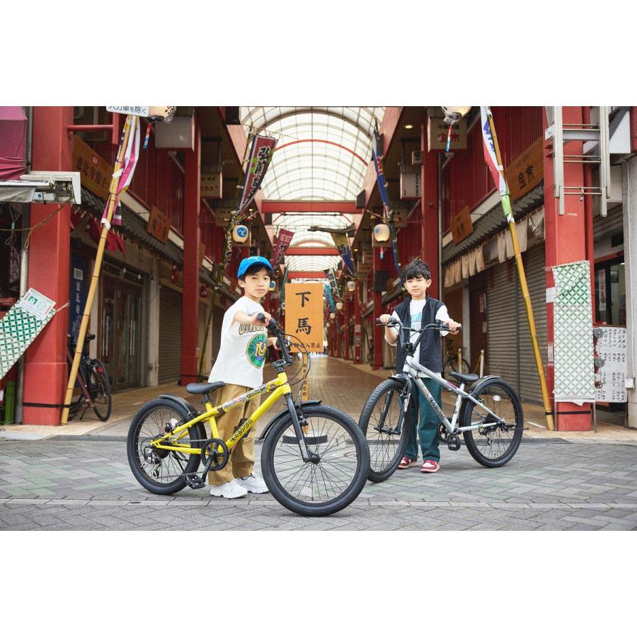 Dバイク D-Bike D-Bike BMXSTREET 26 D-バイク ビーエムエクストリート 26 男の子 キッズ 子供用 自転車 26インチ 6段変速 [D-Bike BMXSTREET 26]の画像