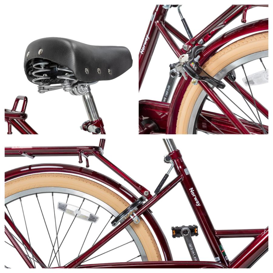 norway 自転車