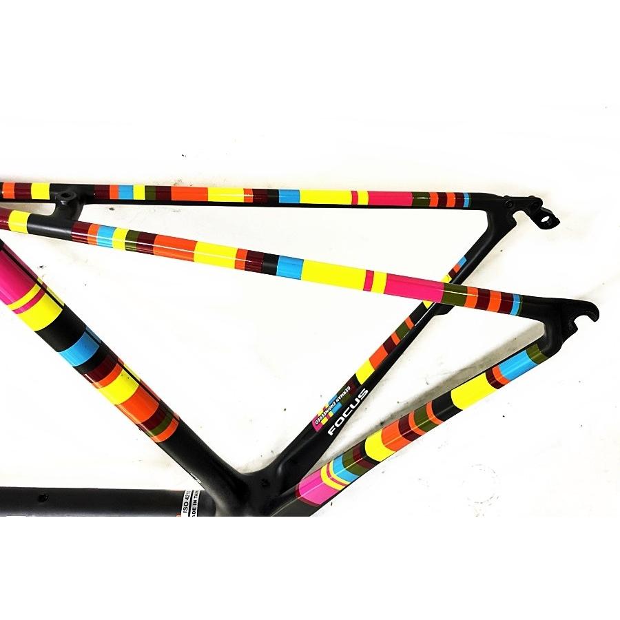 フォーカス FOCUS イザルコマックス IZALCO MAX フレームセット フォーカス FOCUS イザルコマックス IZALCO MAX フレームセット