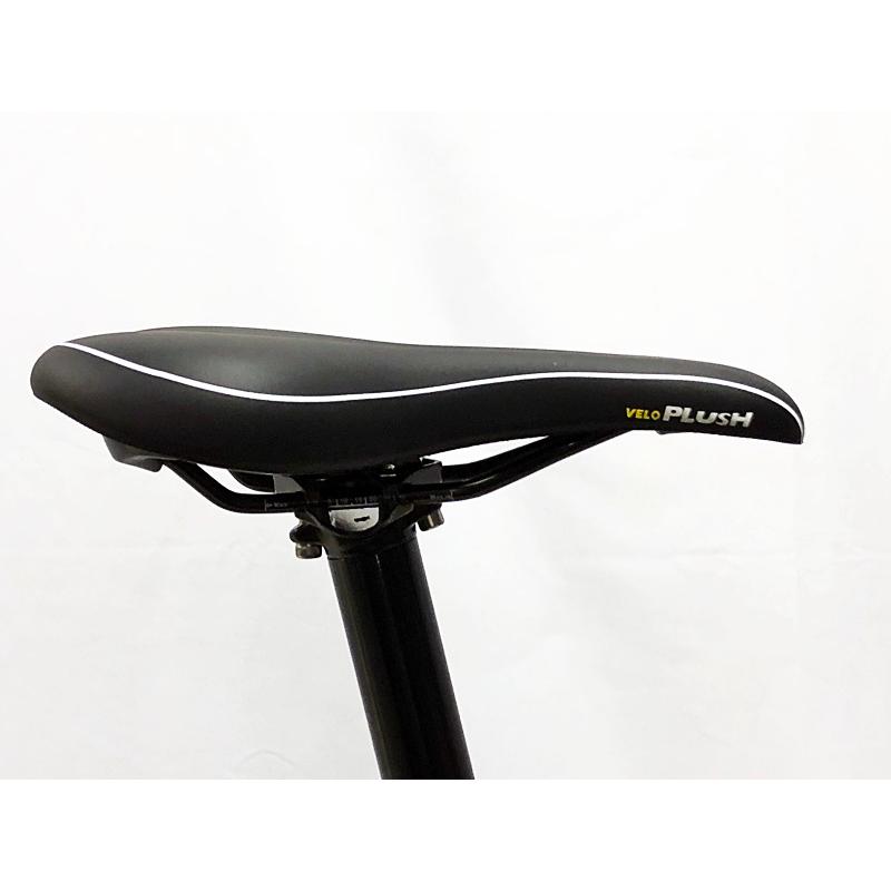 LOUIS GARNEAU 折りたたみ自転車メンテ済み黒easel6
