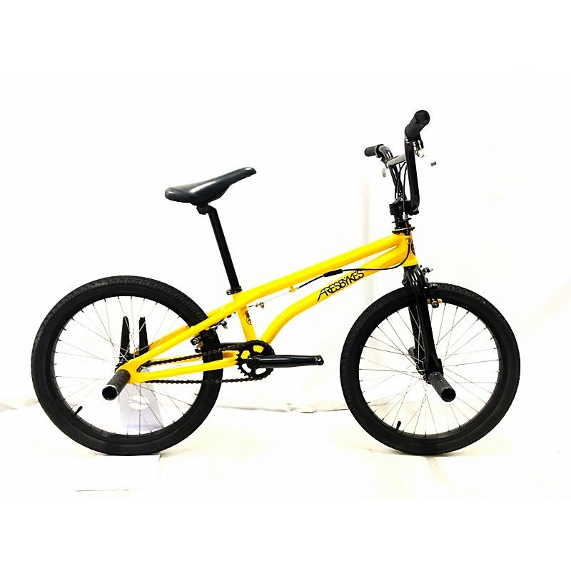 アーレスバイク ARES BIKES アシュラ ASHURA 20インチ フラット アーレスバイク ARES BIKES アシュラ ASHURA 20インチ フラット