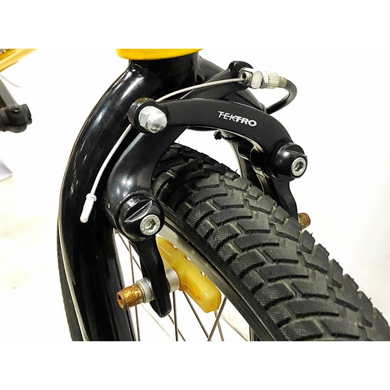 アーレスバイク ARES BIKES アシュラ ASHURA 20インチ フラット アーレスバイク ARES BIKES アシュラ ASHURA 20インチ フラット