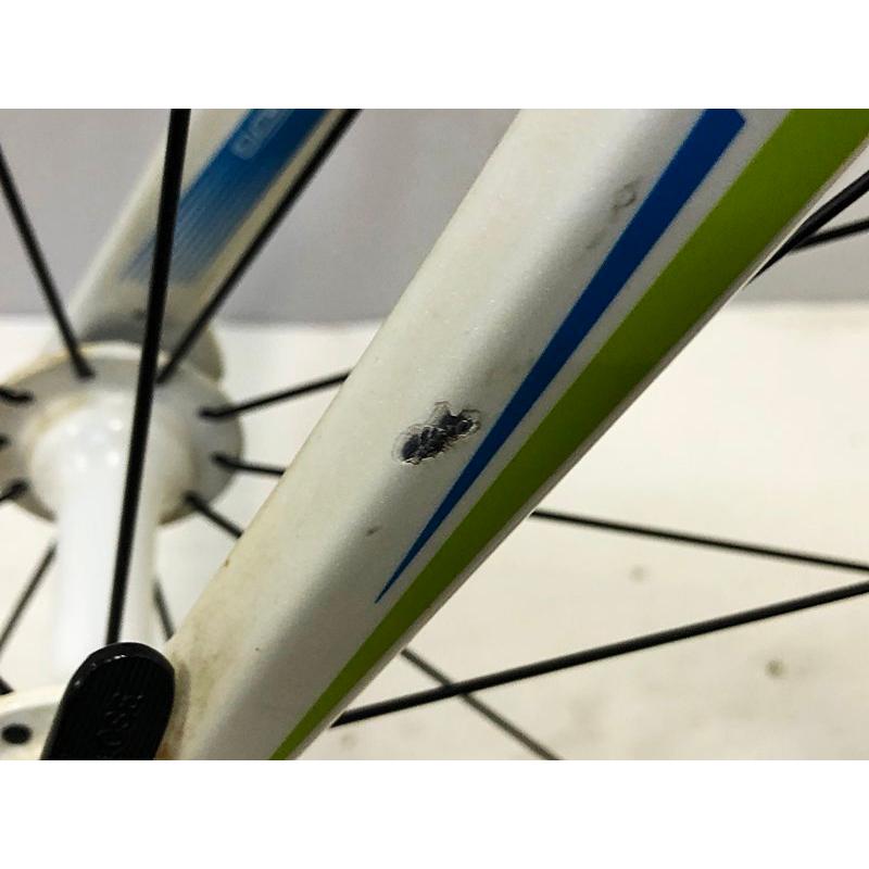 SCOTT（スコット） スピードスター SPEEDSTER S55.1 2010年モデル