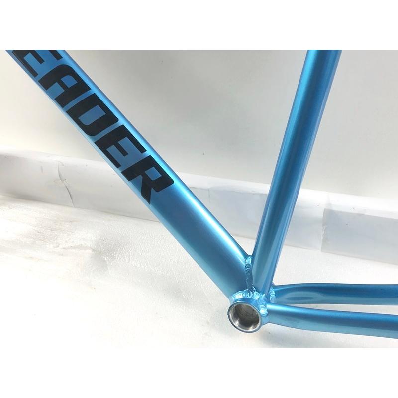 LEADER BIKES リーダーバイク キュア CURE フレームセット 2020 SM
