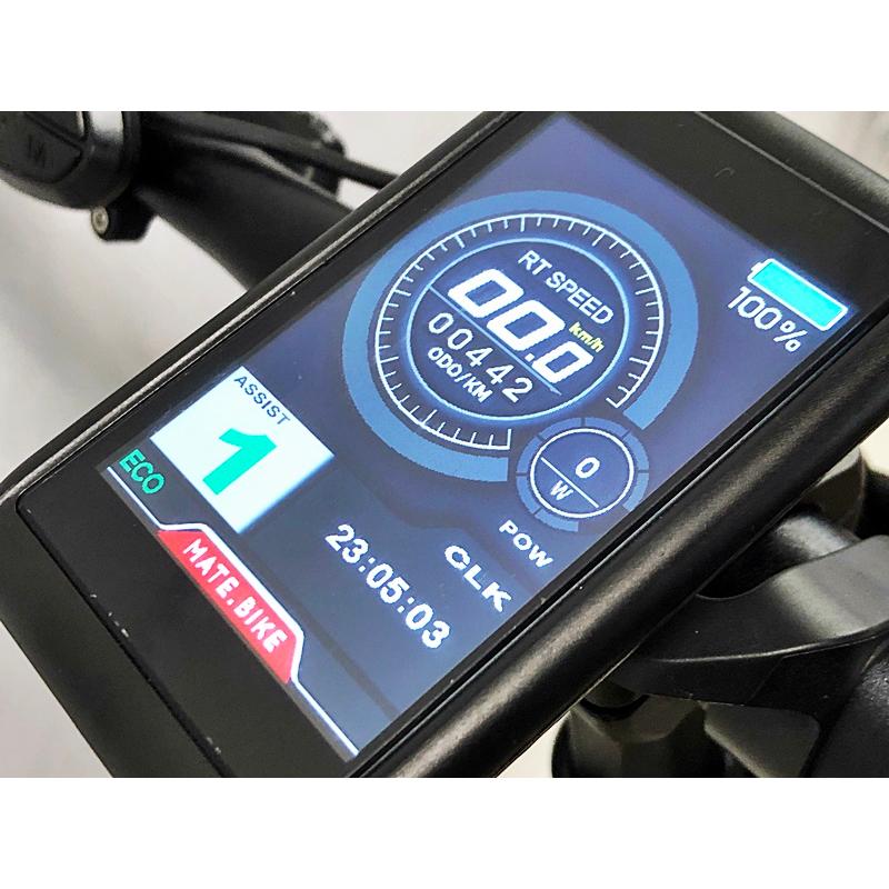 ○メイトバイク MATE BIKE メイト エックス X 250 2021年10月 ○メイトバイク MATE BIKE メイト エックス X 250 2021年10月