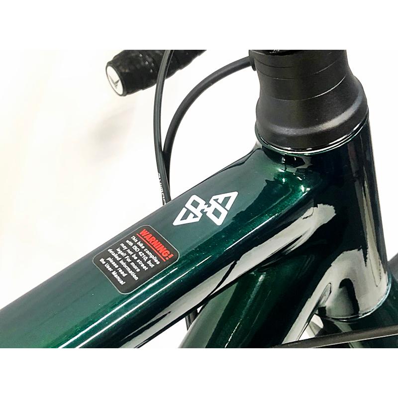 超美品 フェルト FELT FR30 105 DISC 2022年 ロードバイク 51サイズ グリーン【値下げ】｜cycleparadisestore｜07