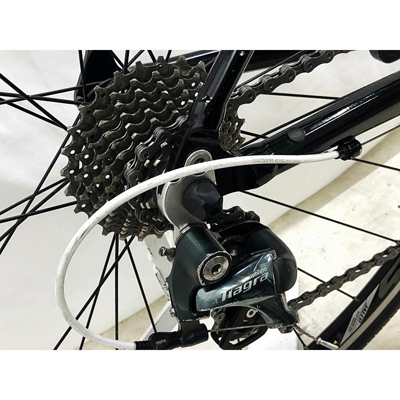 ANCHOR（ファッション） アンカー ANCHOR RL6 WOMEN スポーツ SPORT