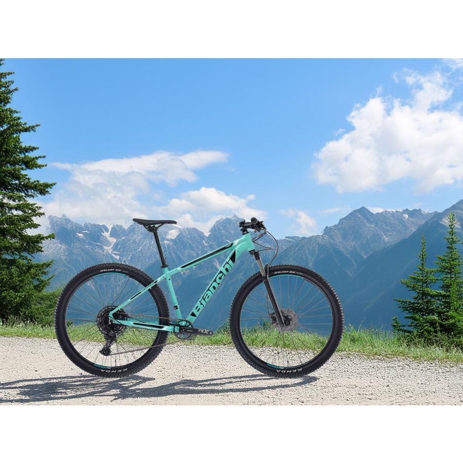 Bianchi（ビアンキ） 特別提供品 BIANCHI MAGMA 9.1 38cm SHIMANO