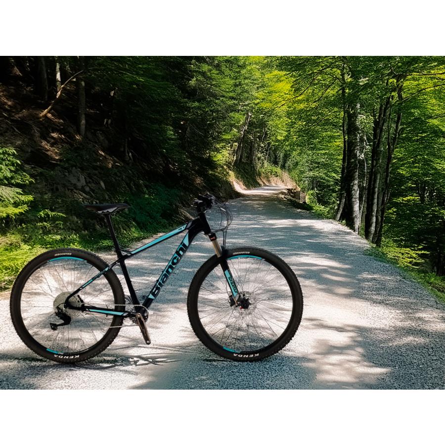 Bianchi（ビアンキ） 特別提供品 BIANCHI MAGMA 9.1 38cm SHIMANO