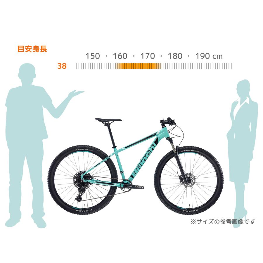 Bianchi（ビアンキ） 特別提供品 BIANCHI MAGMA 9.1 38cm SHIMANO