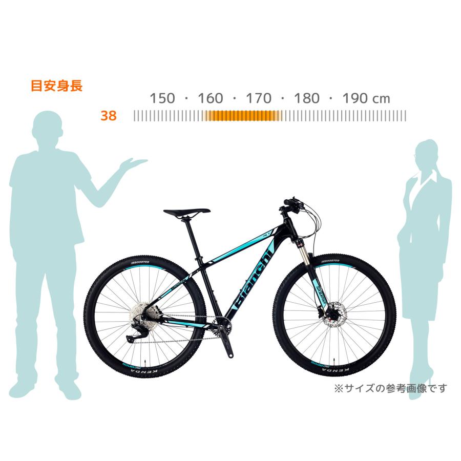 Bianchi（ビアンキ） 特別提供品 BIANCHI MAGMA 9.1 38cm SHIMANO