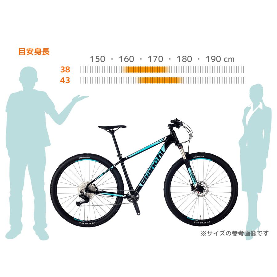 Bianchi（ビアンキ） 特別提供品 BIANCHI MAGMA 9.1 38cm 43cm SHIMANO