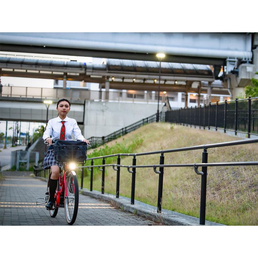 店頭受取限定 ルイガノ 電動自転車 アシスト自転車 アセント シティ Louis Garneau 12 3ah 3段変速 21as471 1008 サイクルスポット総合館 通販 Yahoo ショッピング