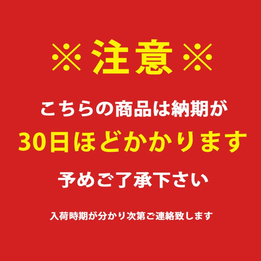 当店限定P5倍 5/23　【アウトレット1点限り】店頭受取限定 フジ FUJI FEATHER フェザー ロードバイク スポーツ自転車 700C [23 FEATHER]｜cyclespot-dendou｜05