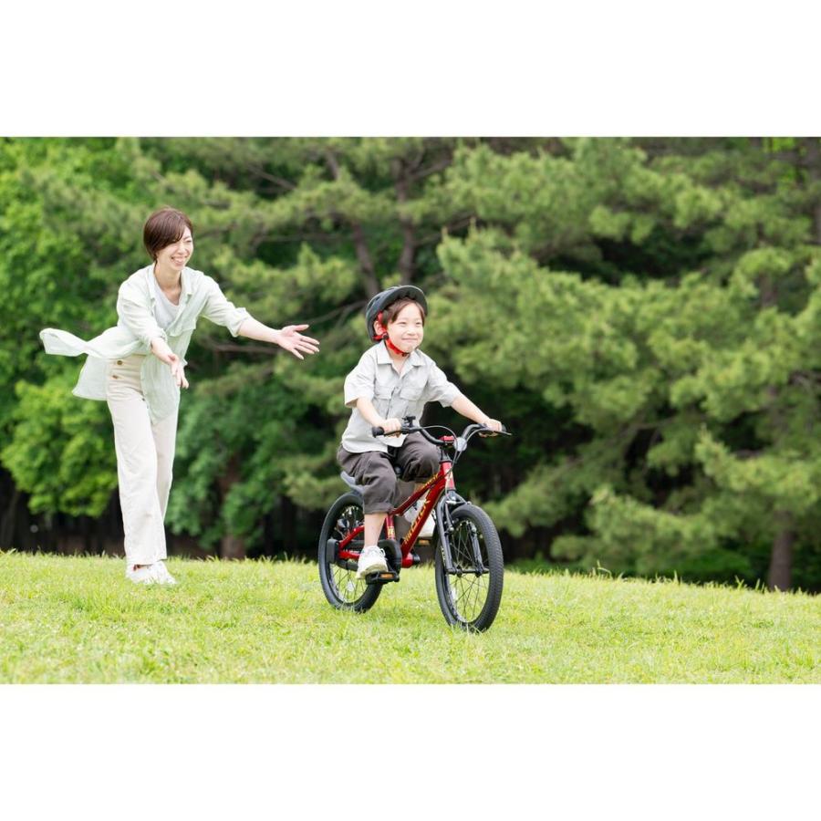D-bike 【アウトレット1点限り】キッズ 子供 幼児用 自転車 Dバイク