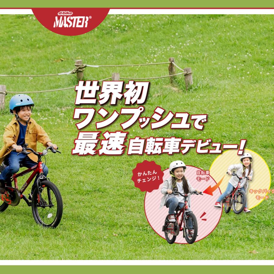 D-bike 当店限定P2倍 10/24-10/26 Dバイク D-Bike Master+ 16 D