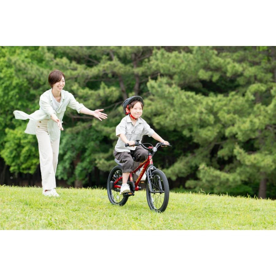 D-bike Dバイク D-Bike D-BIKE Master Fit 14 マスター 男の子 幼児