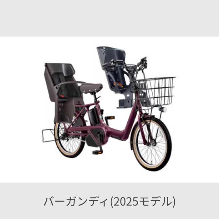 Panasonic（パナソニック） 子供乗せ自転車 20インチ 3人乗り
