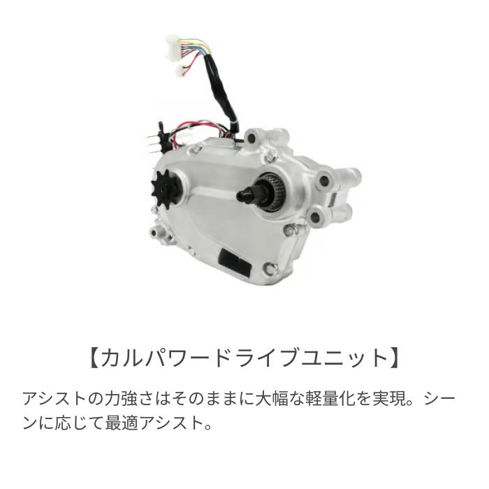 Panasonic（パナソニック） 電動自転車 20インチ ギュット・アニーズ