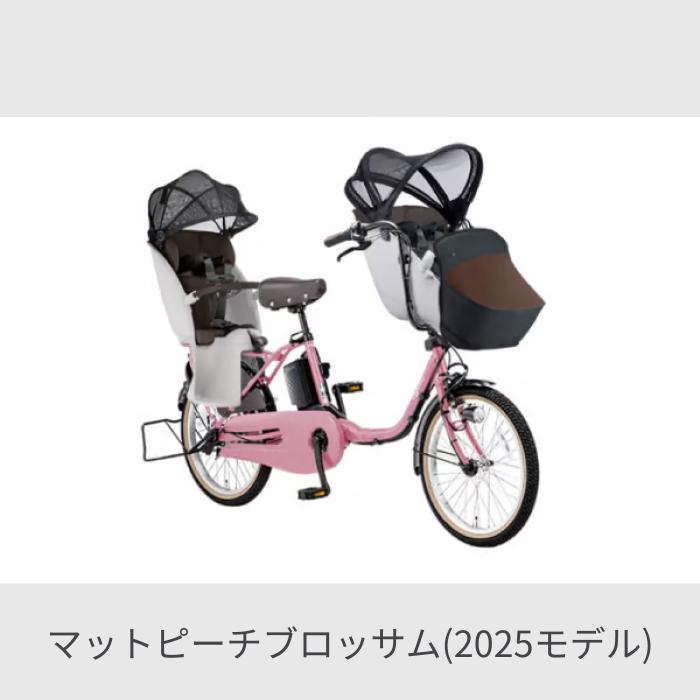 子供乗せ自転車 Panasonic(パナソニック) 20インチ 3人乗り用