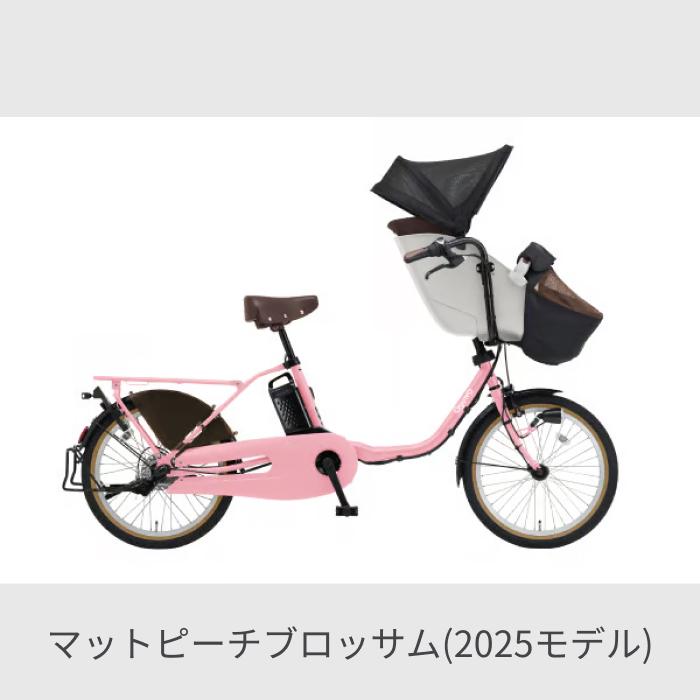 1260パナソニック20インチ子供乗せ電動アシスト自転車 1260パナソニック20インチ子供乗せ電動アシスト自転車 自転車通販cyma