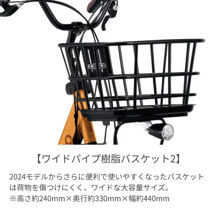 Panasonic（パナソニック） 子供乗せ自転車 20インチ ギュット