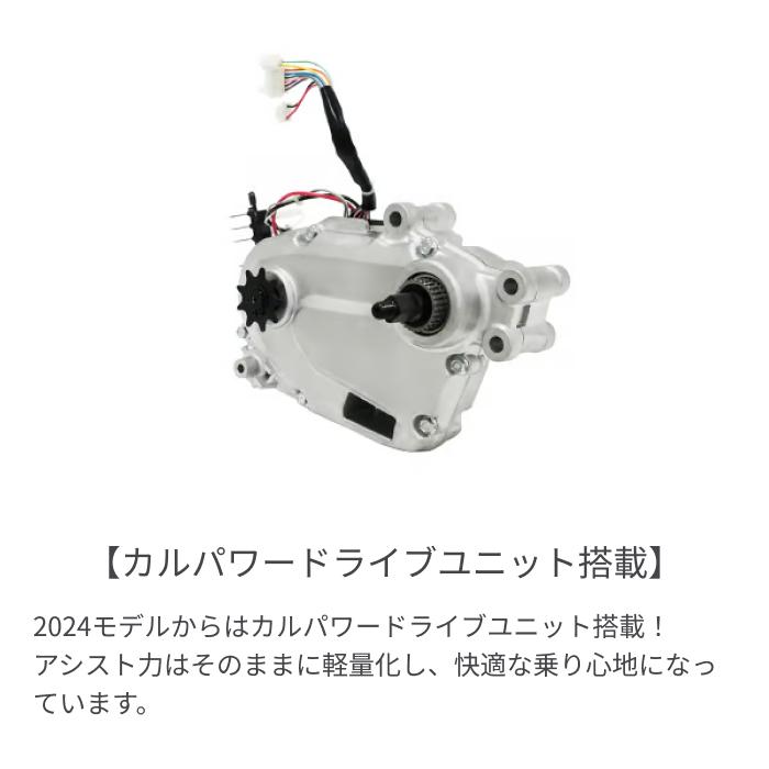 Panasonic（パナソニック） 電動自転車 20インチ ベロスター・ミニ