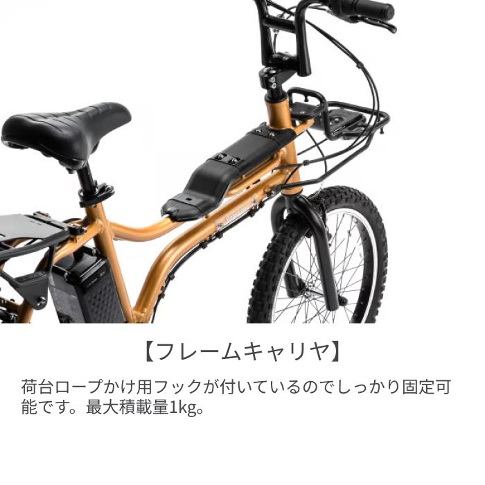 Panasonic（パナソニック） 電動自転車 20インチ EZ（イーゼット