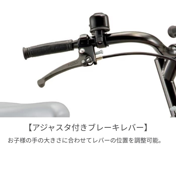 BRIDGESTONE（ブリヂストン） こども用自転車 16インチ ビッケ m