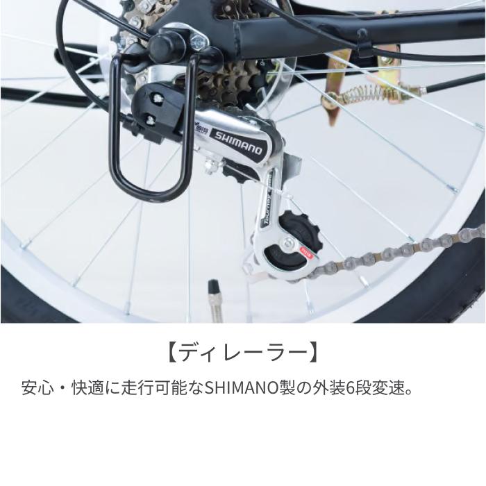 折りたたみ自転車 サカイサイクル 20インチ ブレイクアウト